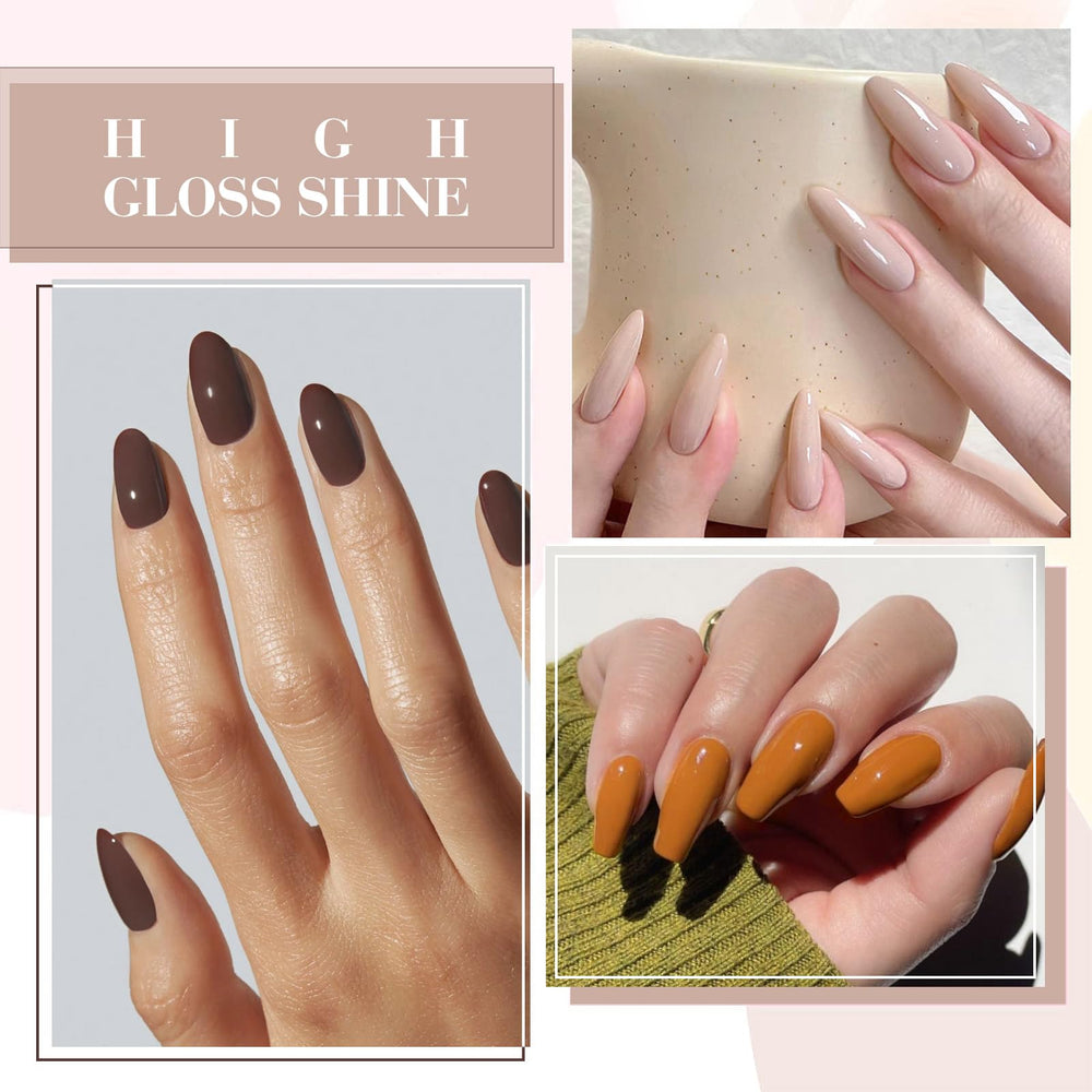 CANNI swatches on a wheel showing the six dark brown tones clearly