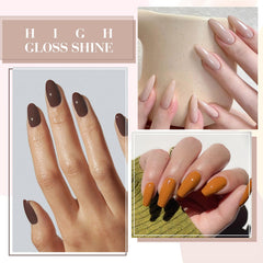 CANNI swatches on a wheel showing the six dark brown tones clearly