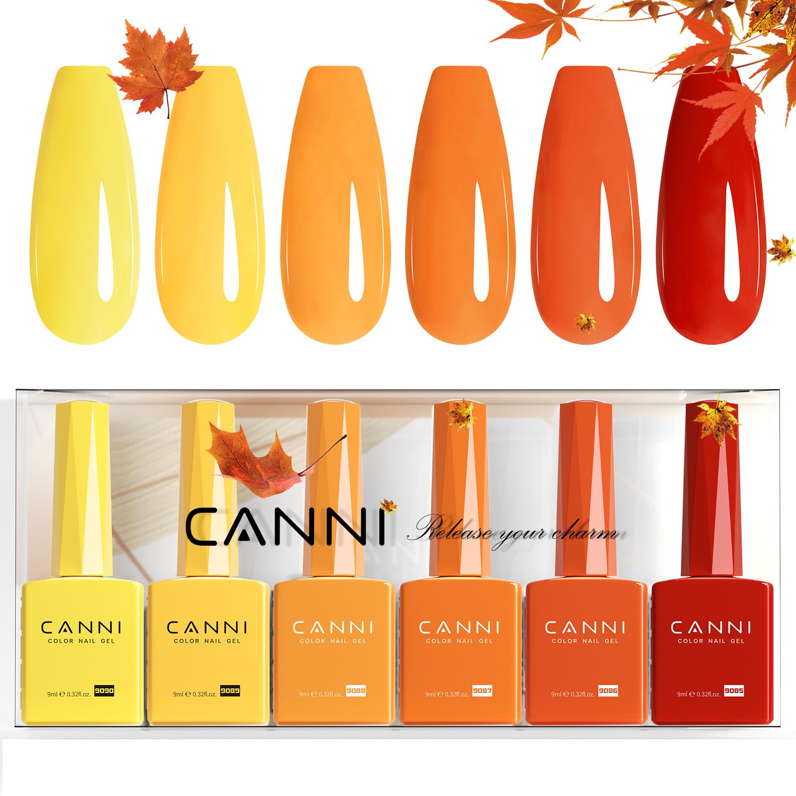 CANNI gift box presentation ready for gifting with polished, elegant packaging