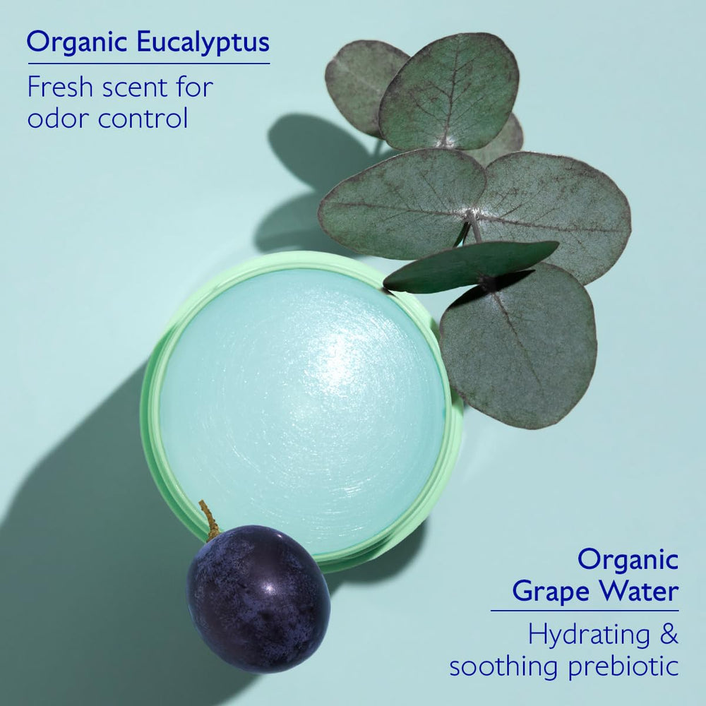 Caudalie Vinofresh with eucalyptus sprig showing natural fresh scent