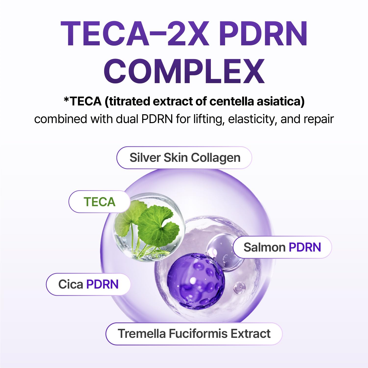 CENTELLIAN 24 size comparison with a coin illustrating compact travel-friendly benefit