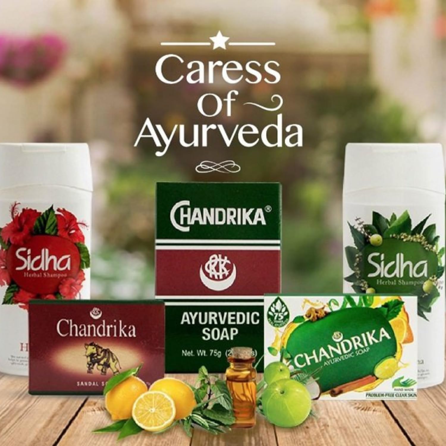 Chandrika six-pack with single bar for size comparison and value