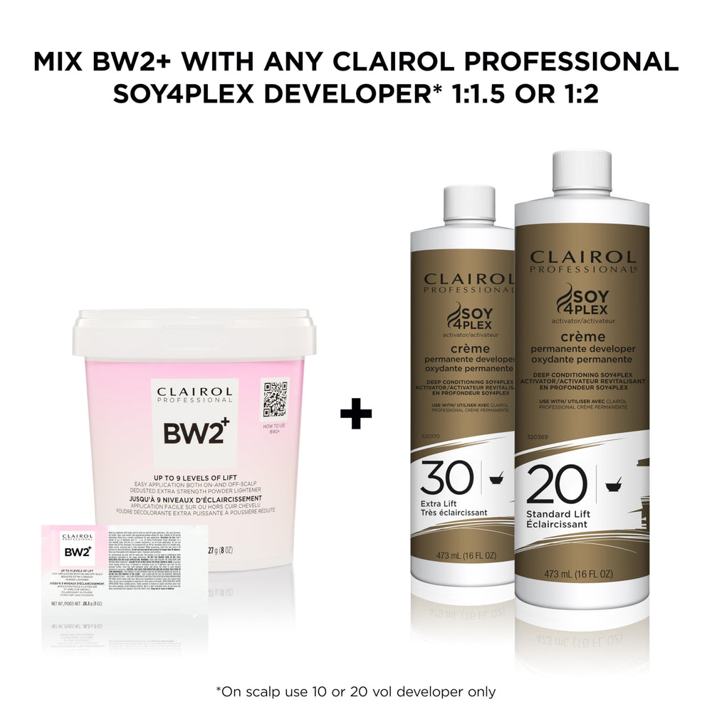 Clairol Professional BW2+ used in a salon balayage service providing blended dimension.