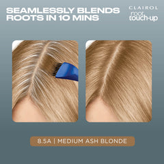 Clairol 8.5A medium champagne blonde color swatch to preview results