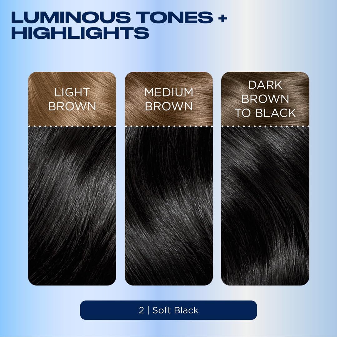 Color swatch strip for 2 Black from Clairol showing dimensional tone examples