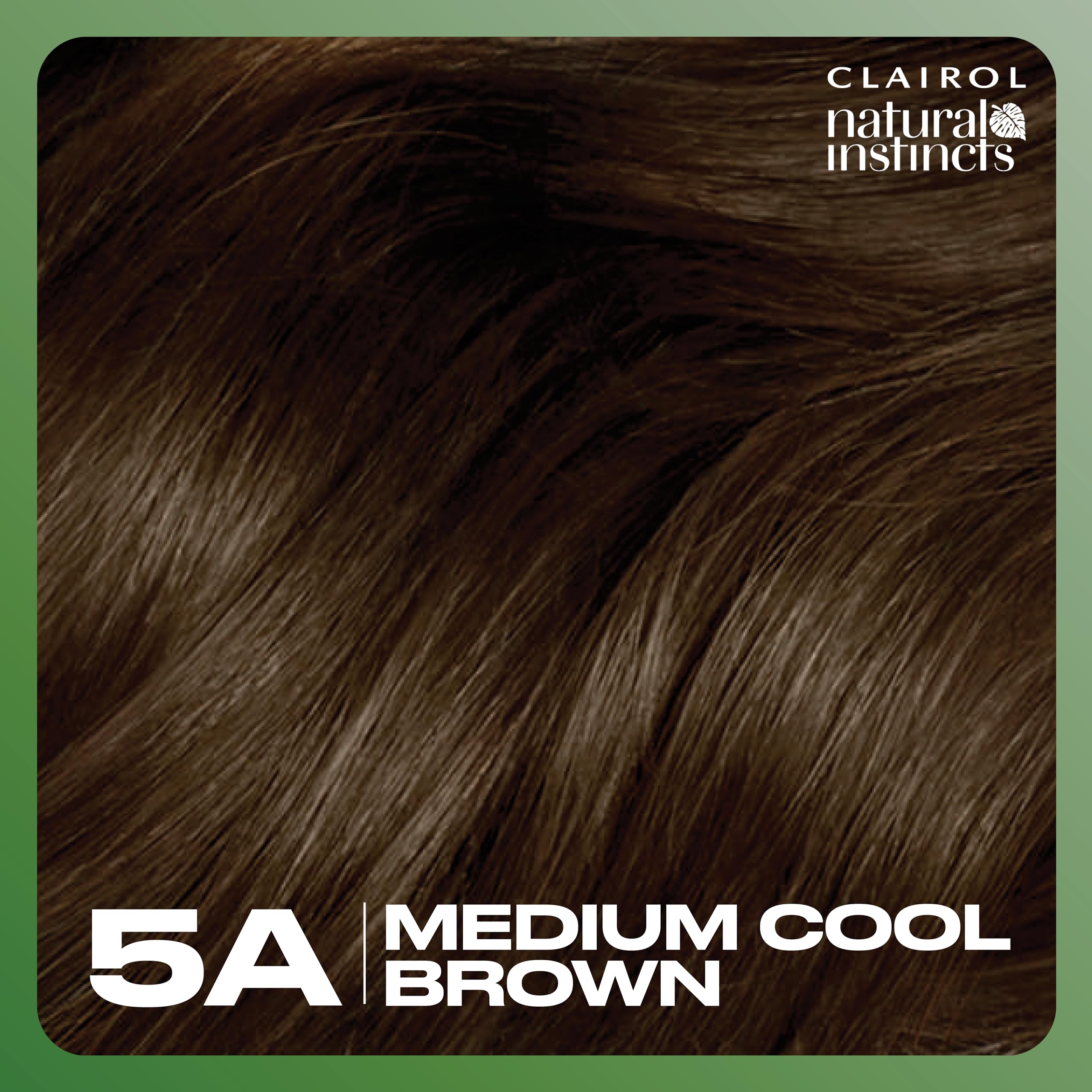 Hand holding Clairol kit to show true at-home kit size