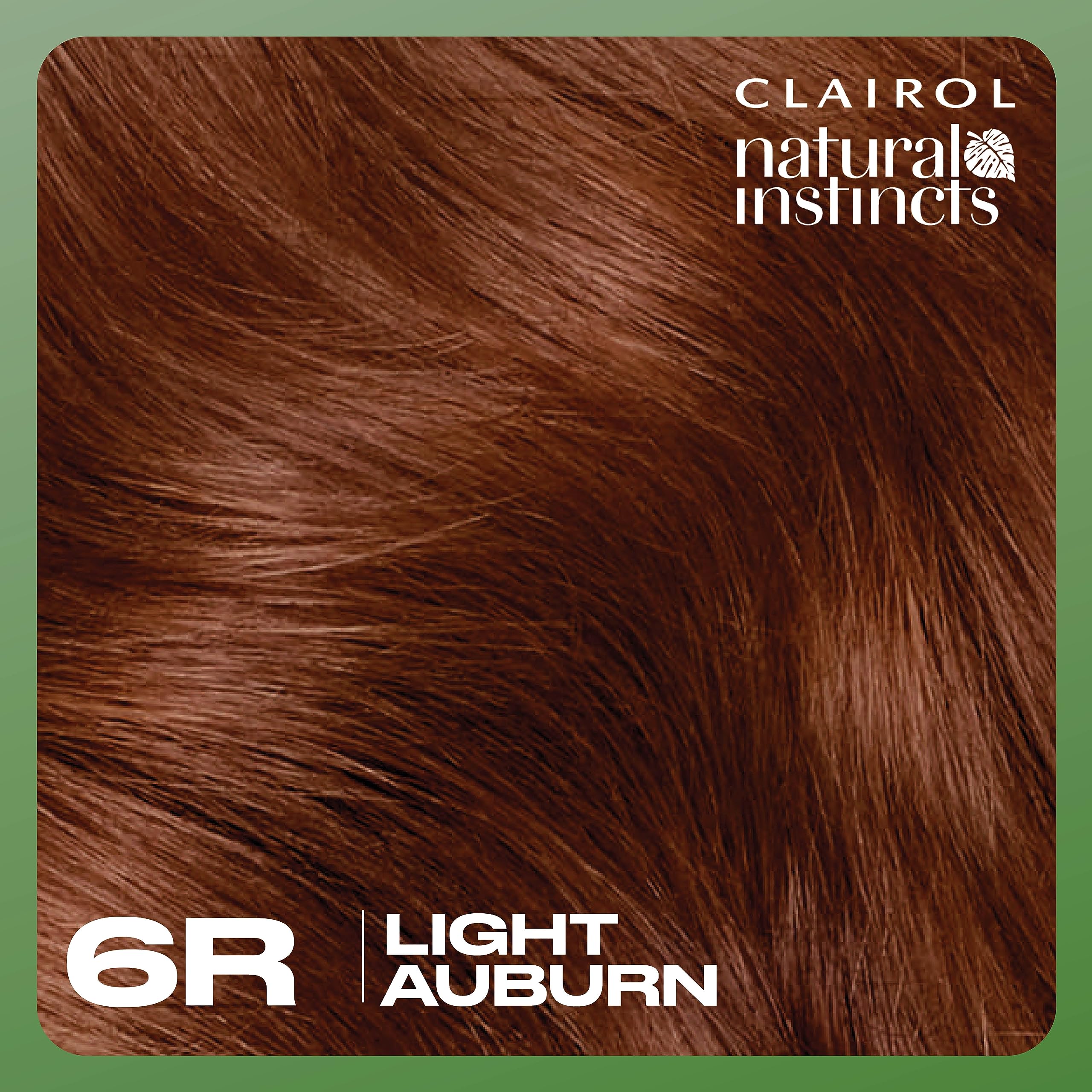 Scale comparison with ruler showing Clairol-treated hair length and full coverage
