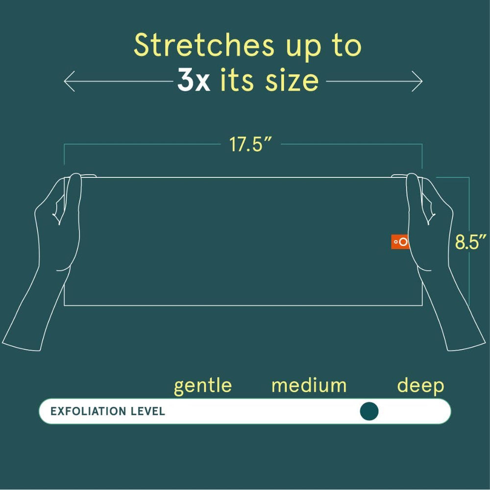 Cleanlogic size comparison in hand showing practical scale and grip benefit