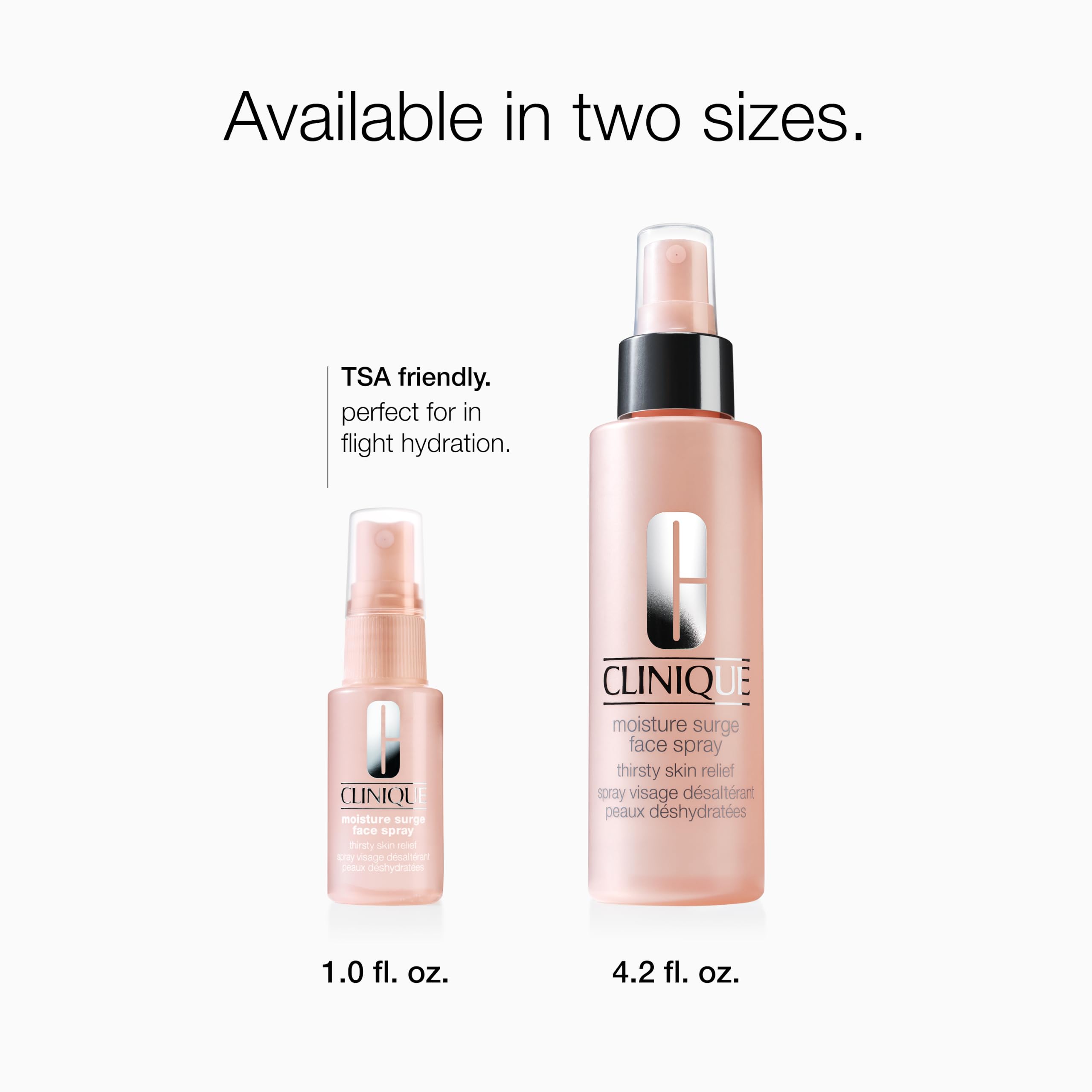 Clinique bottle inside travel pouch, ideal for flights and commuting