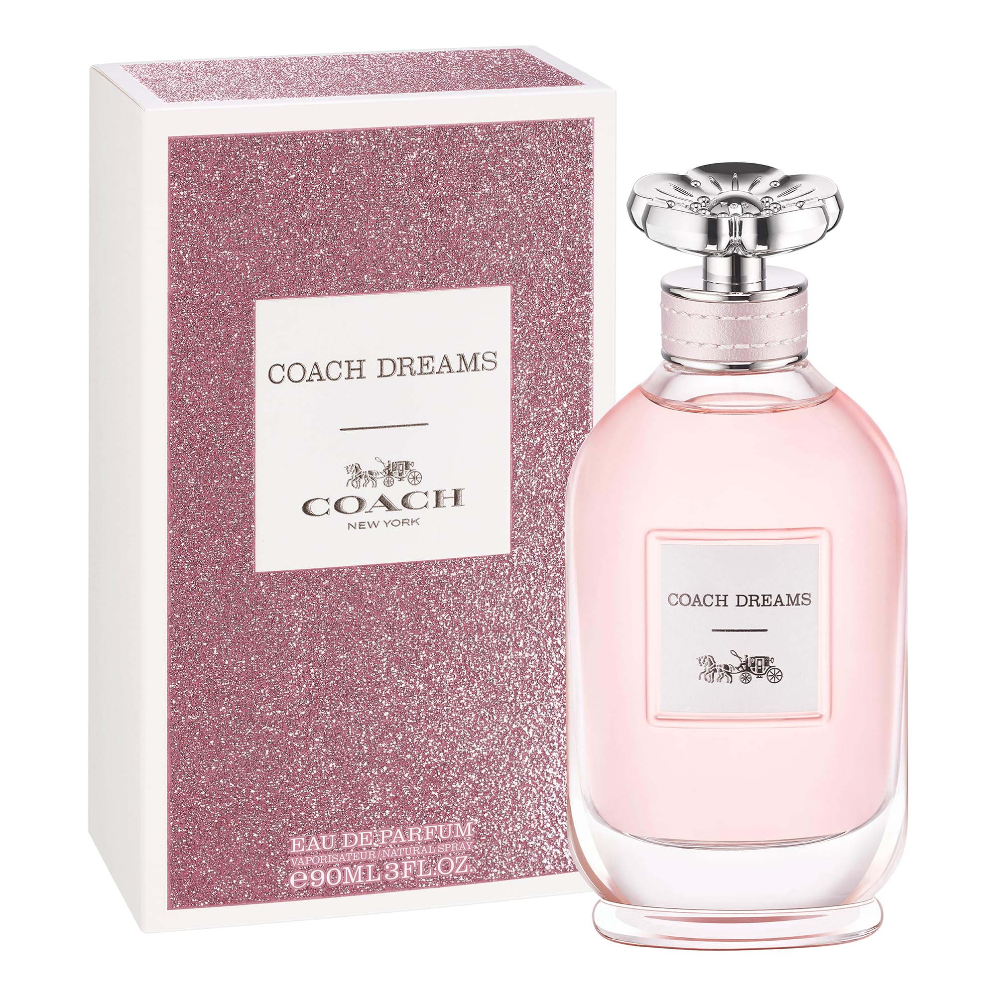 Coach Dreams lifestyle on a roadtrip trunk evoking freedom and adventurous mood