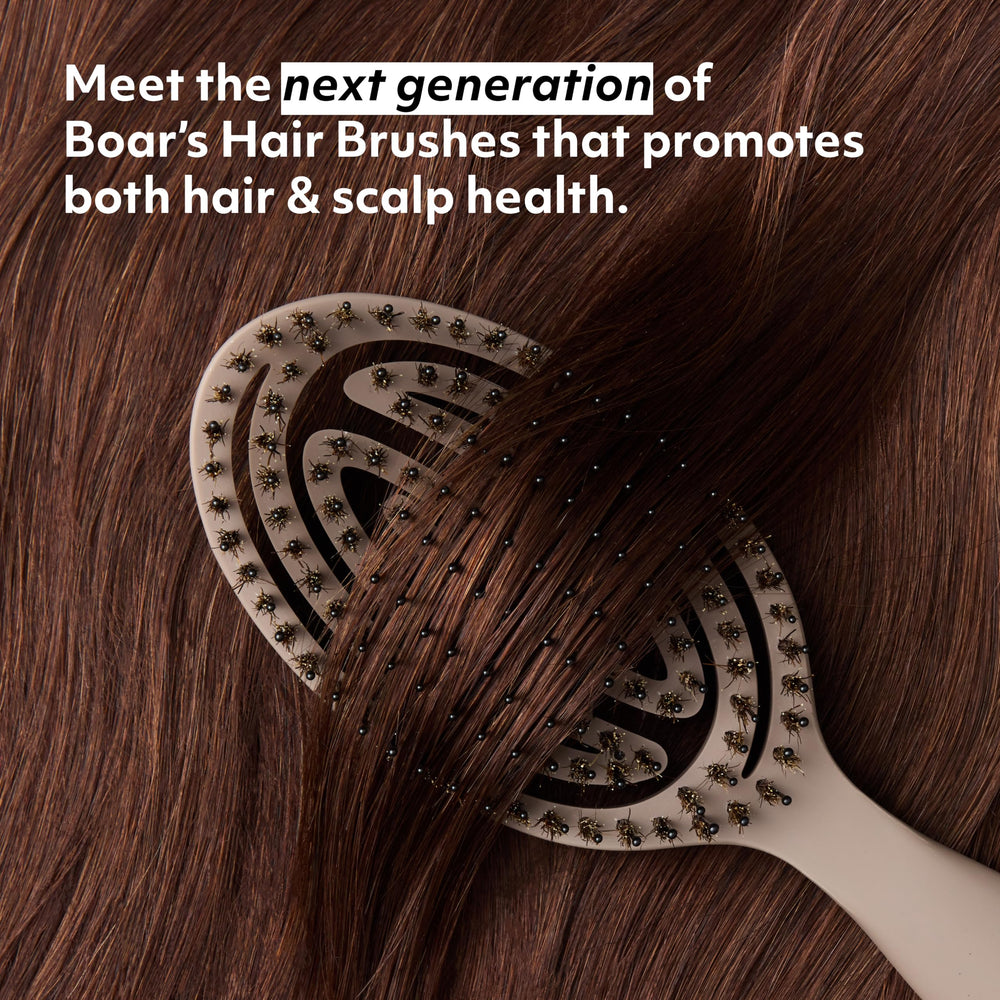 cocomintbeauty close-up of mixed boar and nylon bristles, helps smooth and detangle hair
