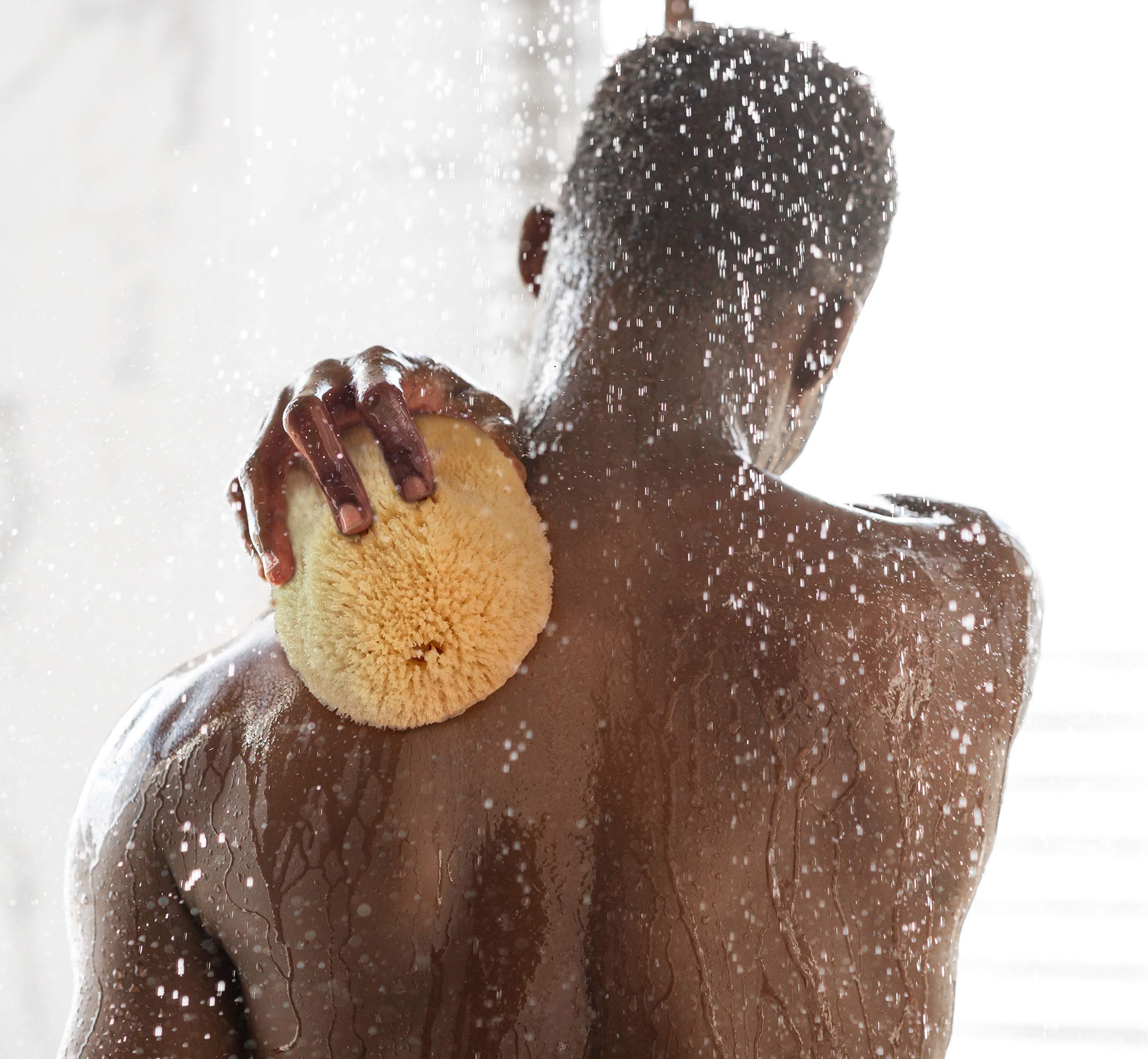 Constantia Beauty sponge pore detail showing absorbency and durability benefit