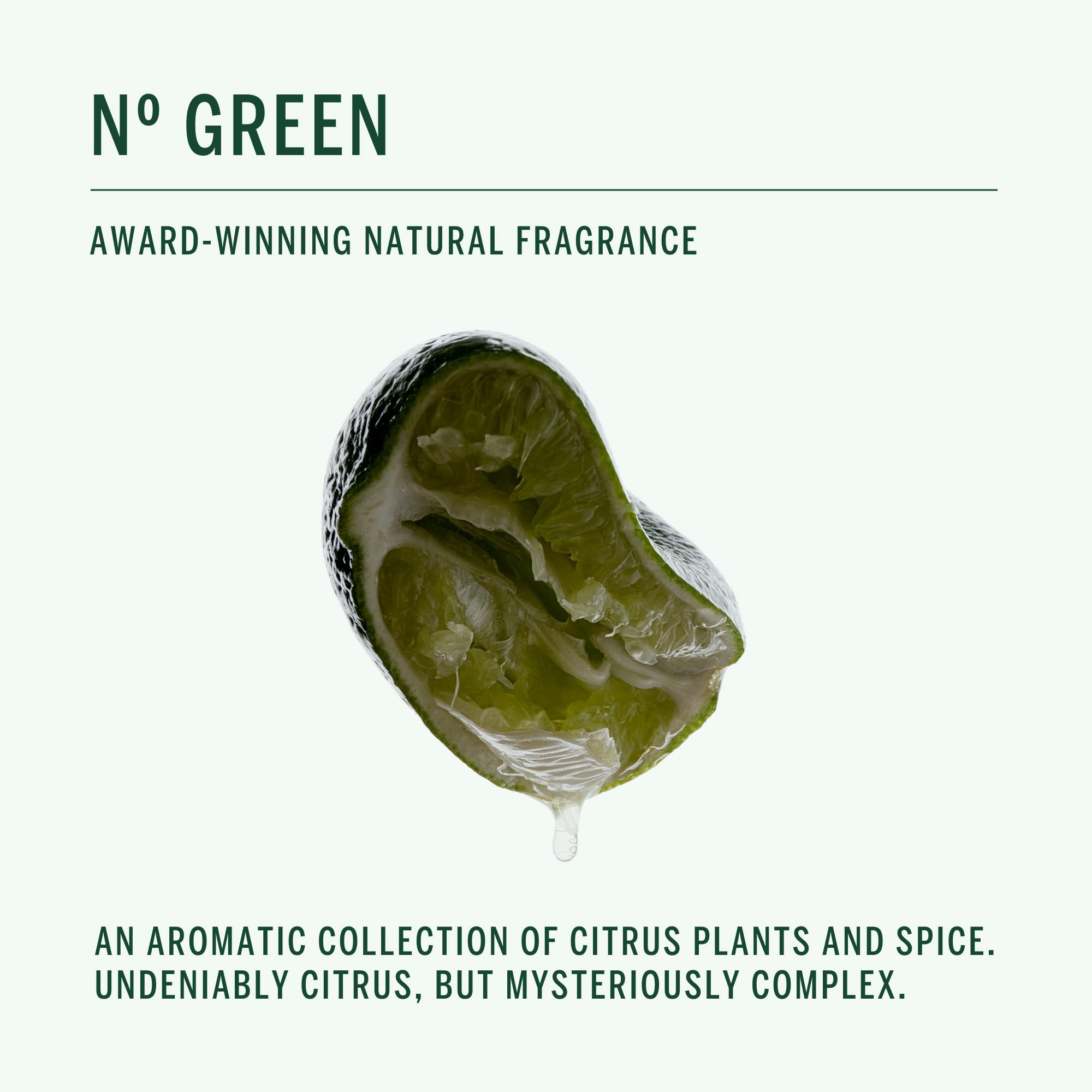 CORPUS ingredient extracts flatlay showing citrus and spice botanicals for natural scent