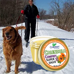 Creation Pharm calendula flowers used in the salve for soothing skin properties