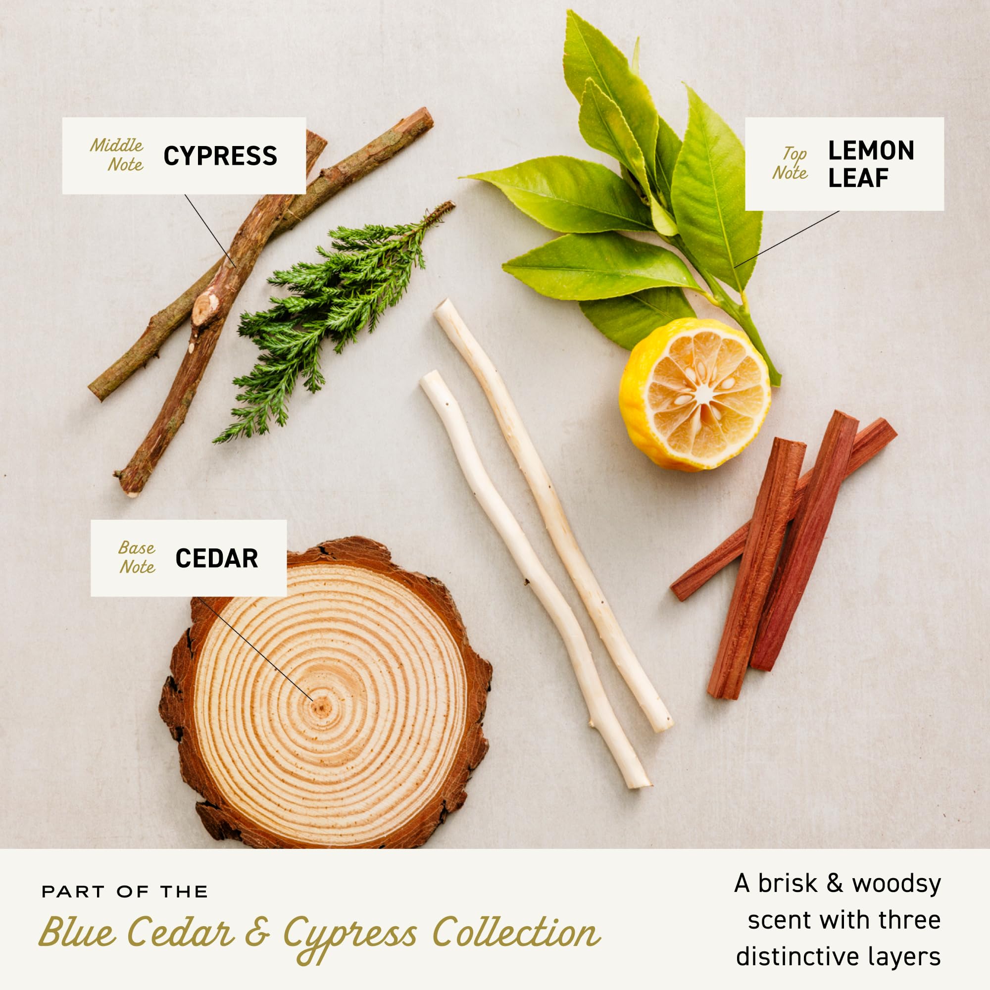 Cremo bottle paired with Blue Cedar & Cypress body wash for layered scent