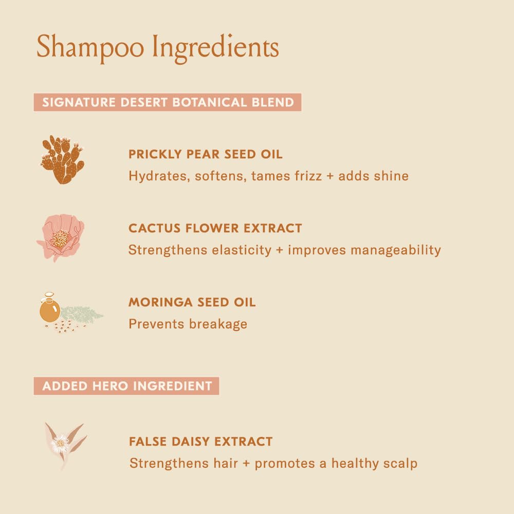 DAE shampoo in hand showing application ease and manageable amount