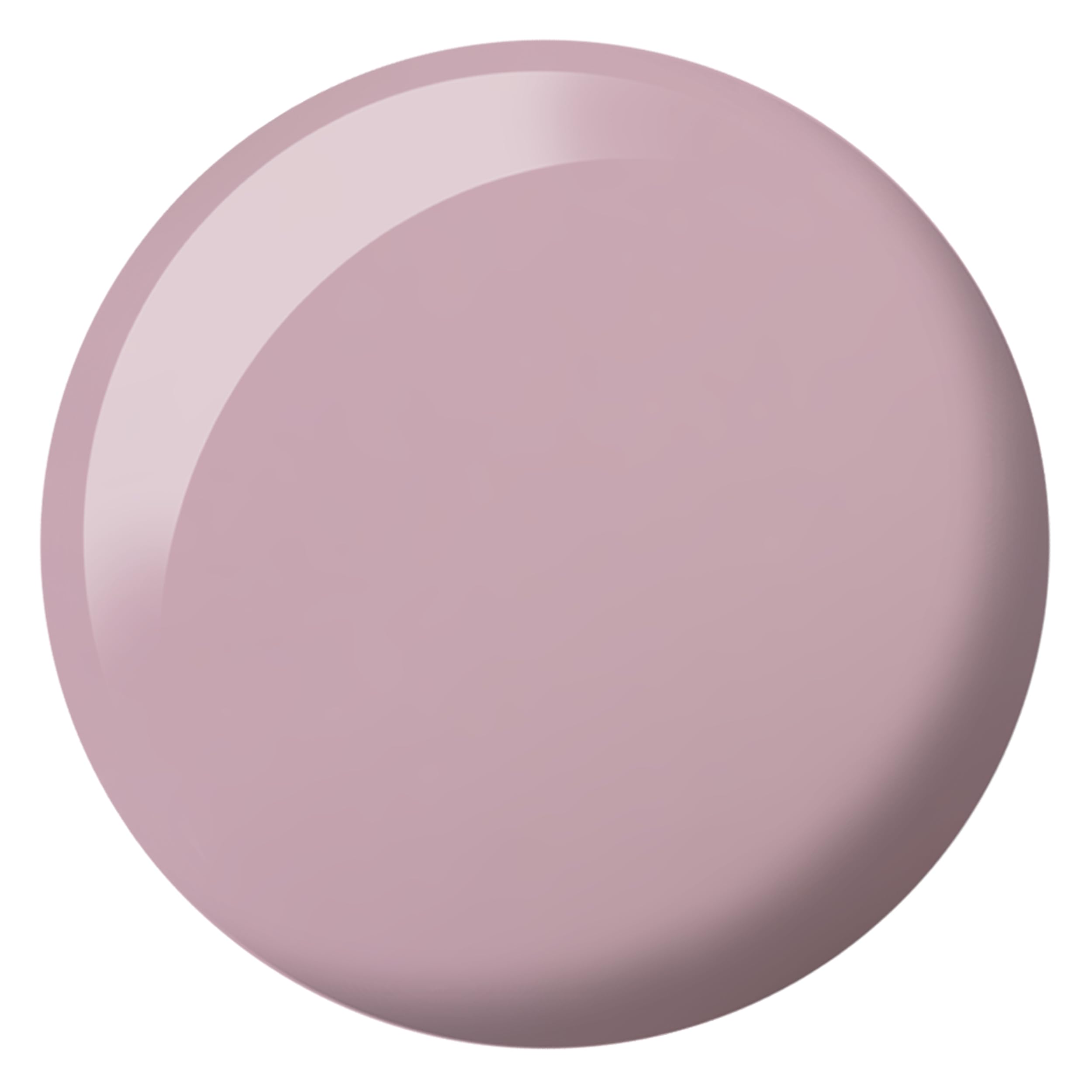 DAISY DND lacquer bottle label clear view ensuring easy shade identification benefit