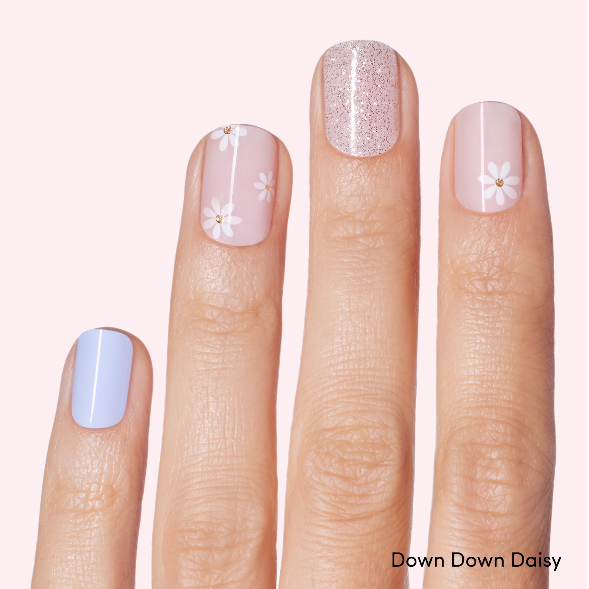 Dashing Diva Down Down Daisy accent strips close-up highlighting floral detail