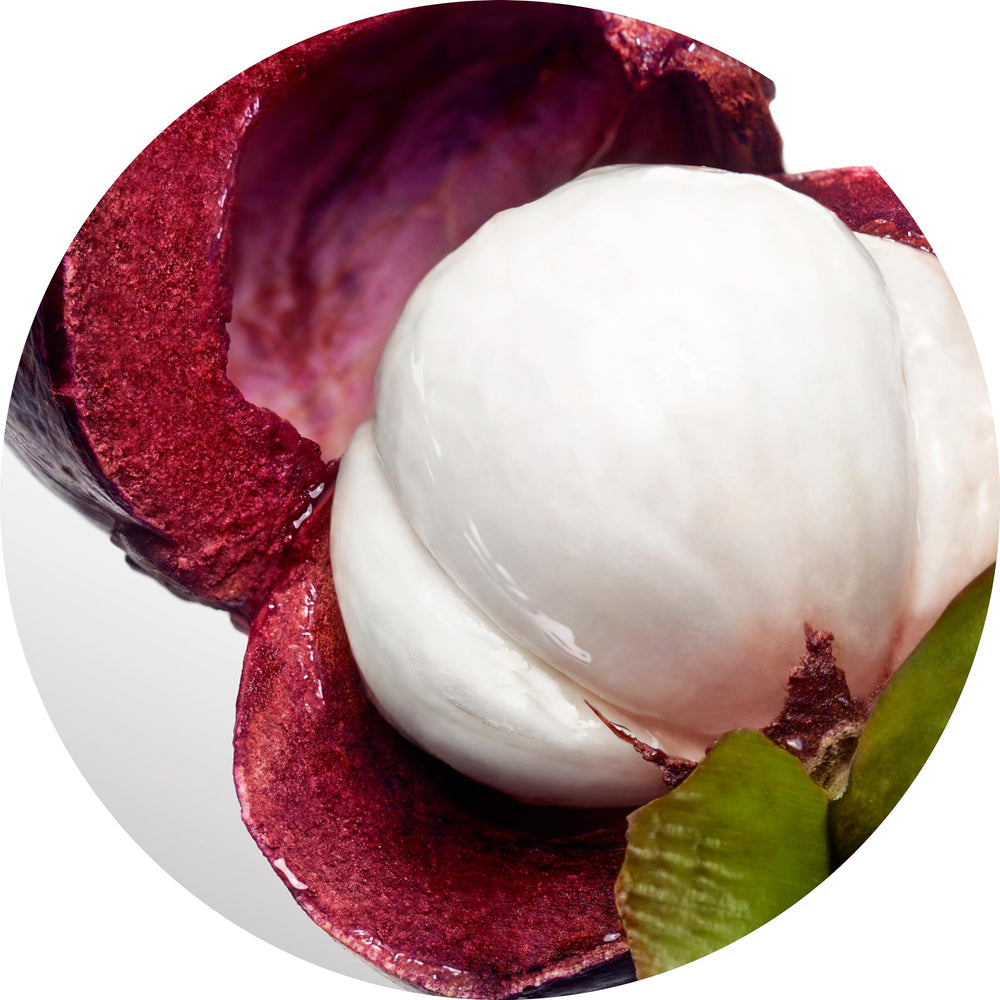 Davidoff fragrance notes flatlay with watermelon and flowers emphasizing freshness