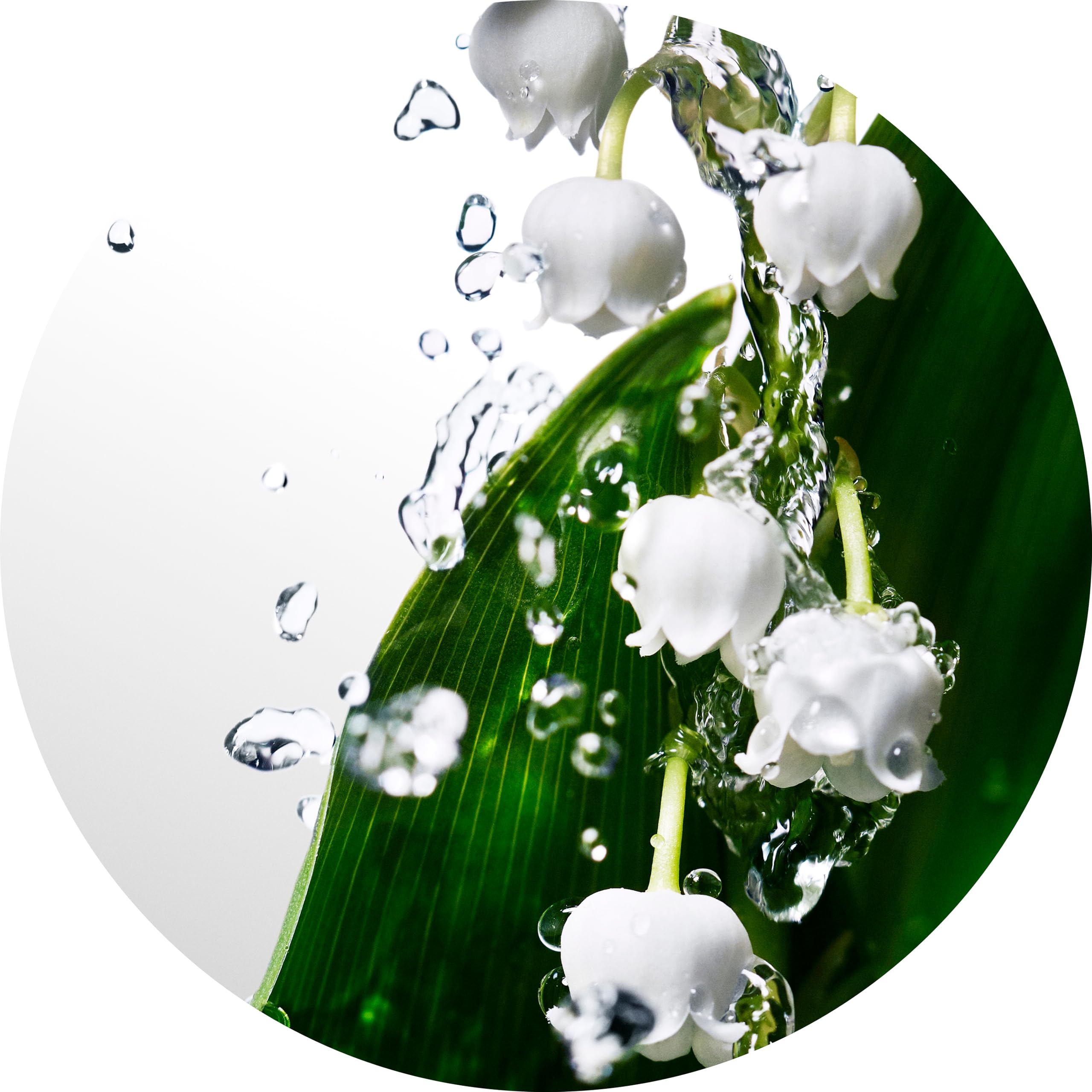 Davidoff mist on skin demonstrating smooth blend and long-lasting feel