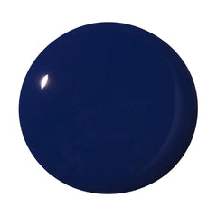 Dazzle Dry brush detail demonstrating smooth application and even color coverage benefit