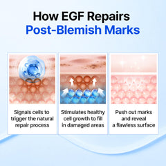 DearKlairs bottle label detail highlighting EGF concentration benefit