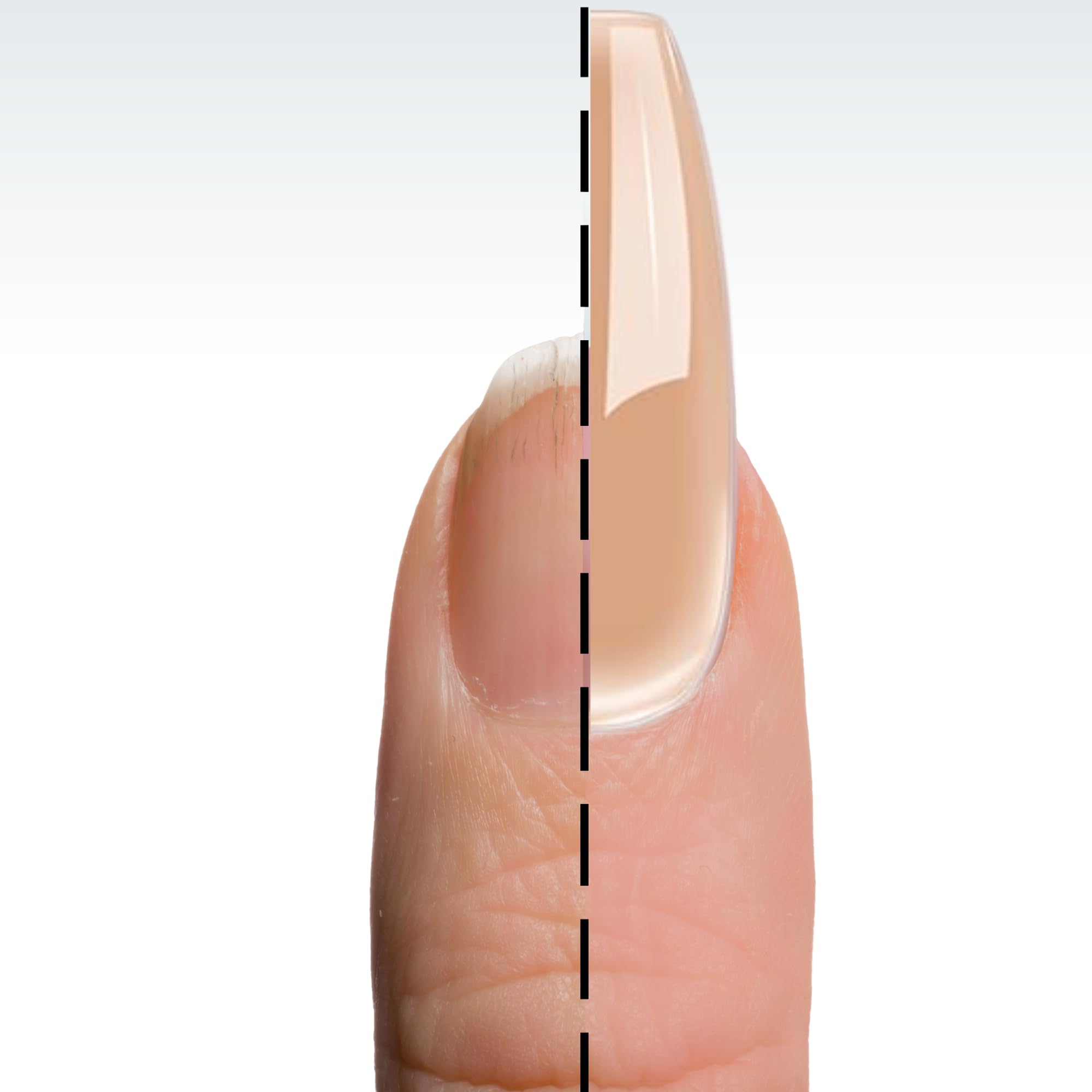 DeEnti sculpted extension side view highlighting strong hold and clean lines
