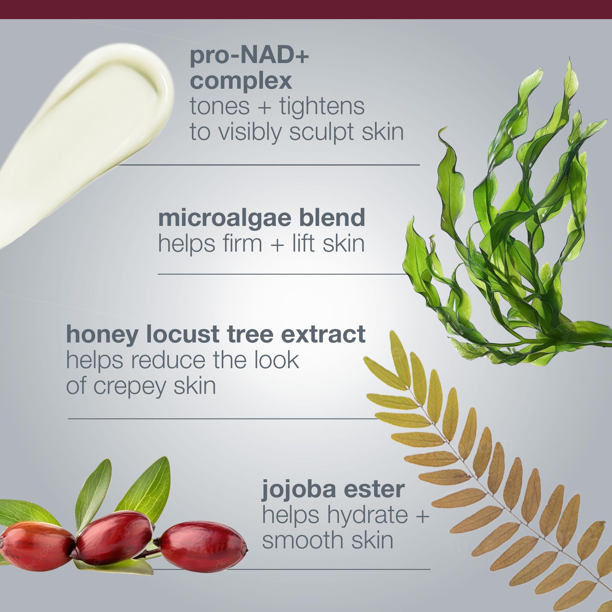 Dermalogica label showing key ingredients and formulation transparency