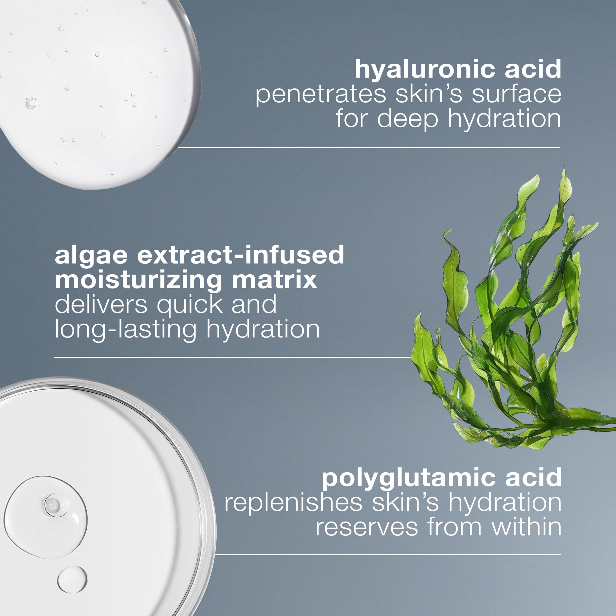 Dermalogica ingredient algae visual representing sustained moisture matrix and skin-plumping benefit