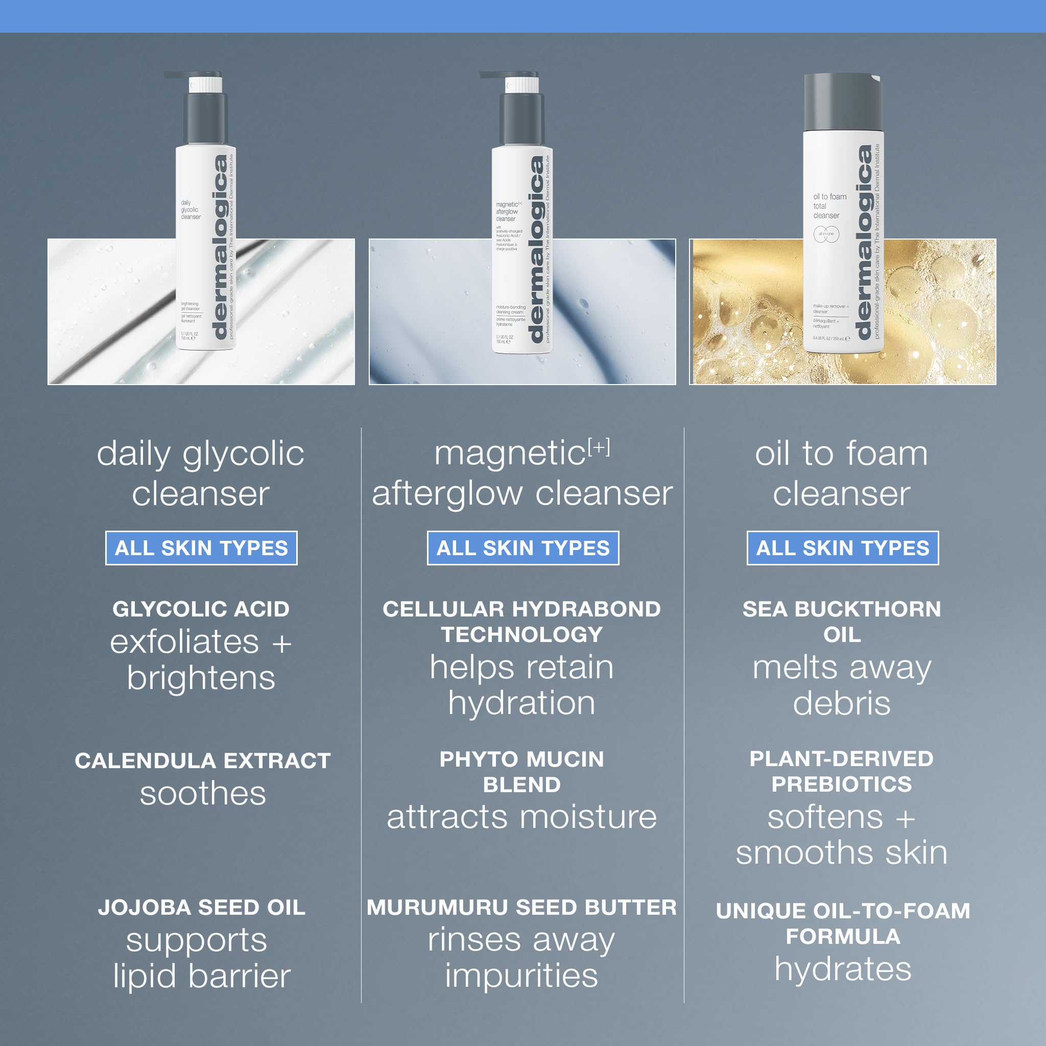 Dermalogica Sea Buckthorn ingredient image conveying antioxidant nourishment