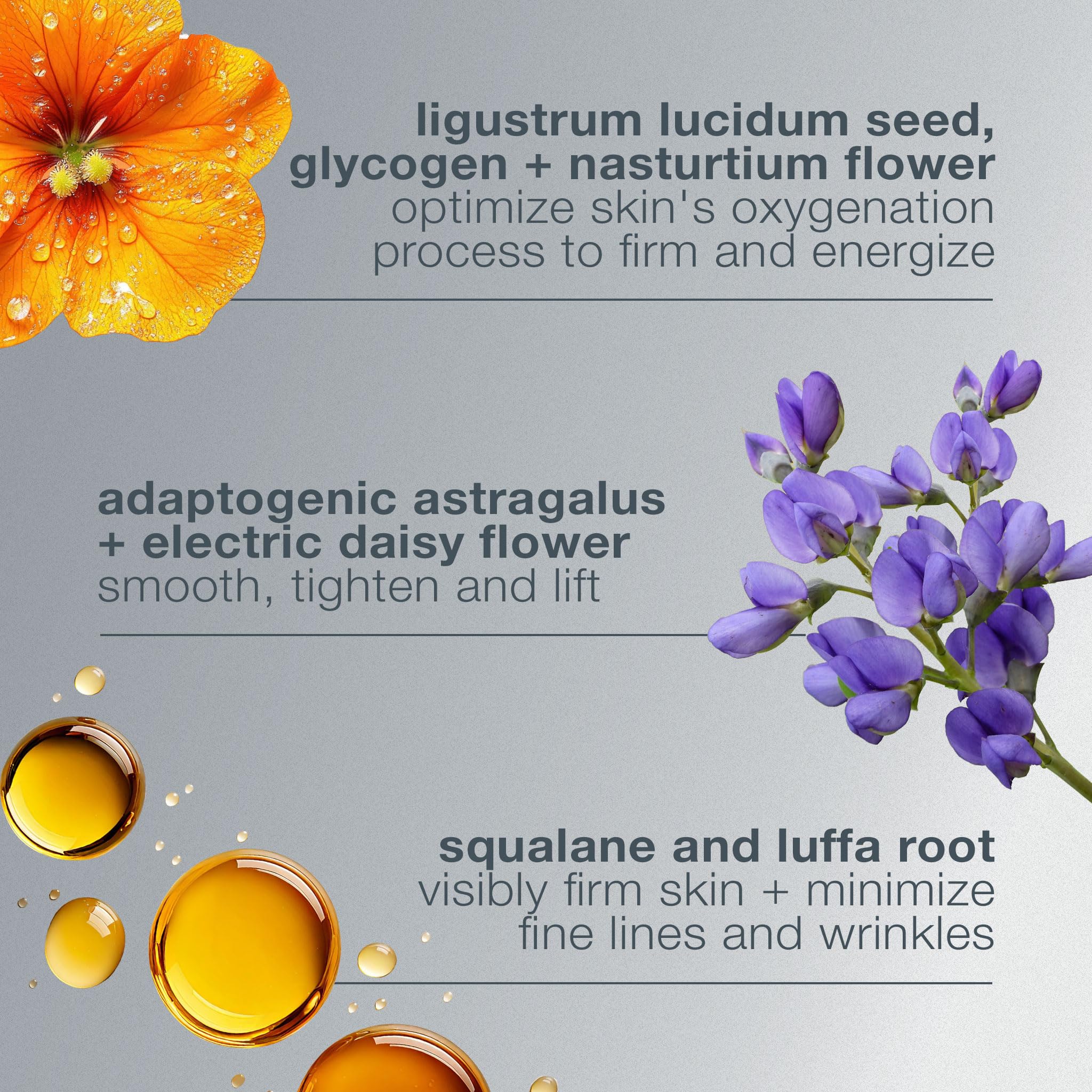 Dermalogica label listing Ligustrum Lucidum Seed Extract benefits