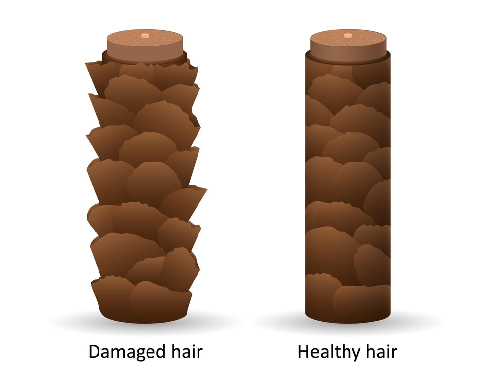 DermOrganic used during blow-drying to shorten drying time and protect strands