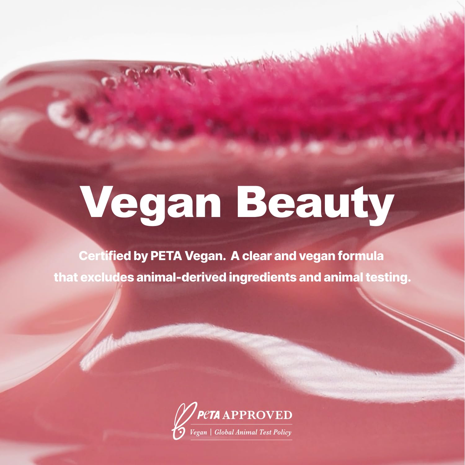 DINTO label and ingredients shot showing formulation transparency and vegan claim