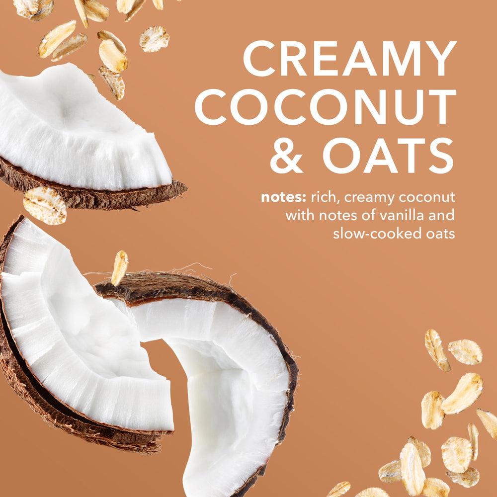 Dionis oats and coconut ingredients visually emphasizing soothing benefit