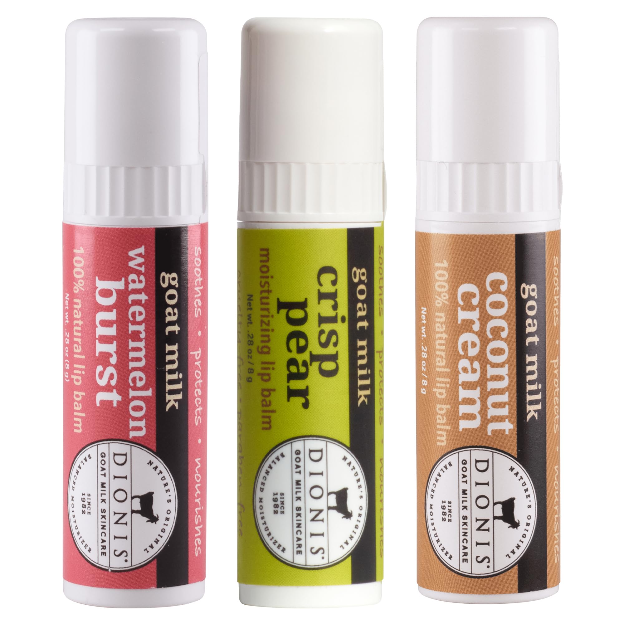 Dionis jumbo lip balm front tube showing branding and size benefit