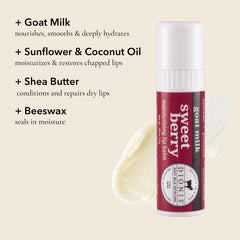 Dionis jumbo lip balm stick top view highlighting large size and coverage