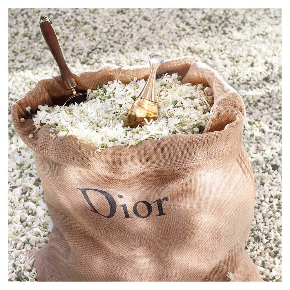 Dior J'adore next to hand for size comparison indicating 3.4 oz portability
