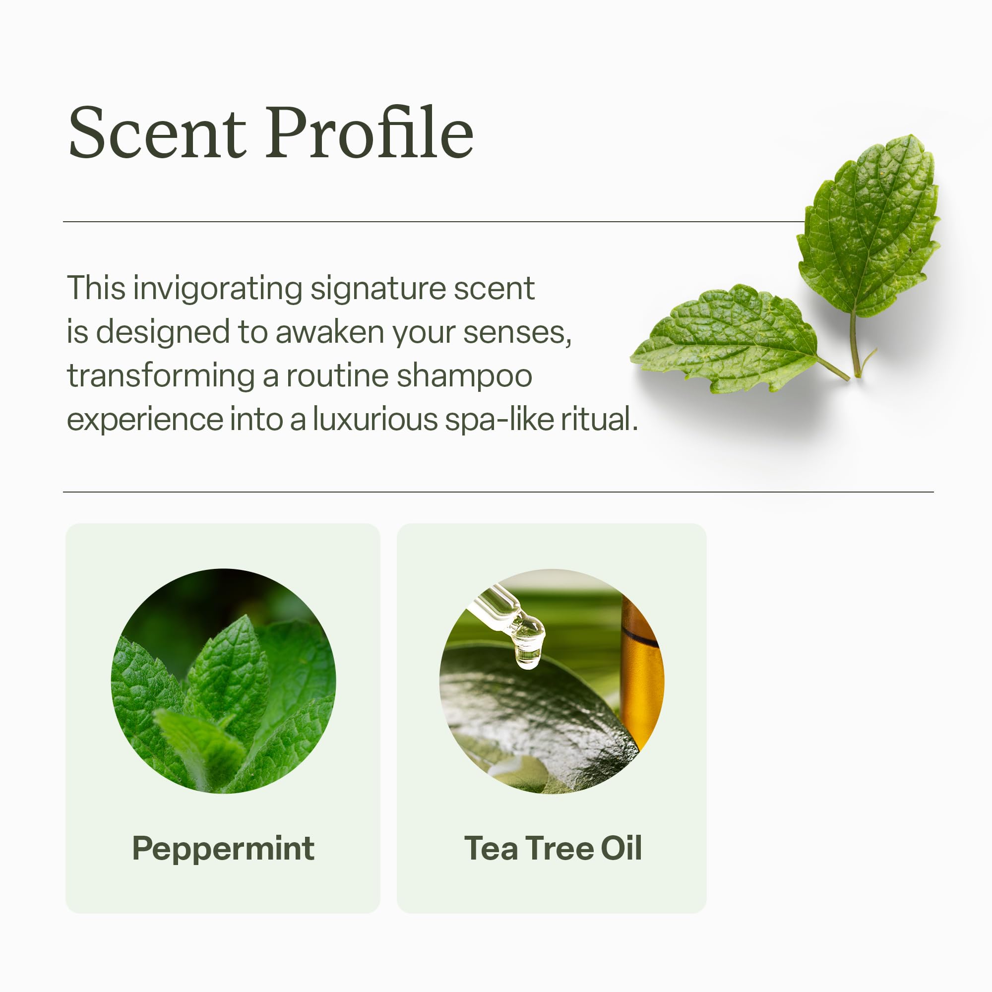 Divi application on scalp demonstration showing targeted cleansing benefit
