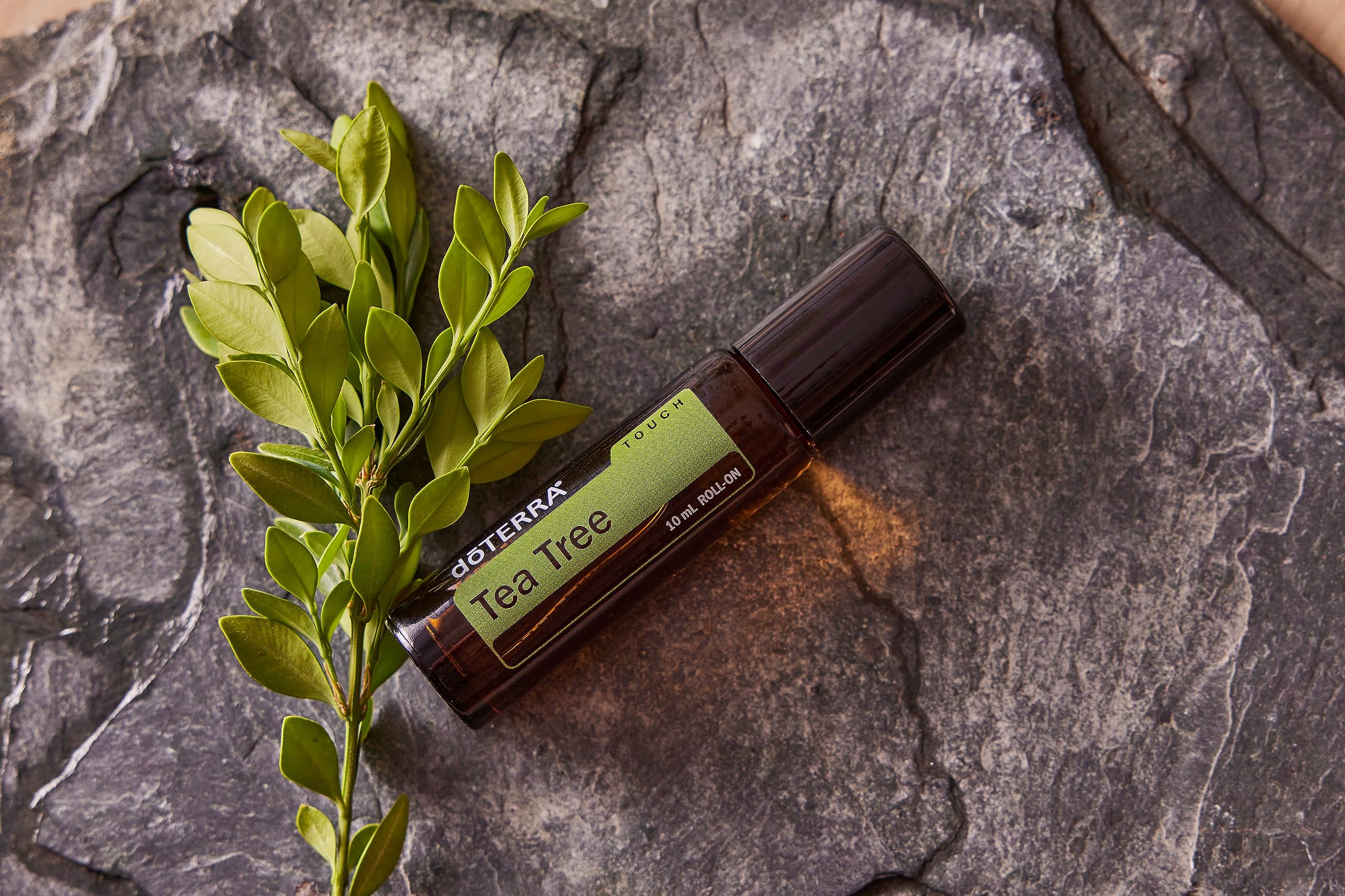 doTERRA Melaleuca Touch close-up roll-on tip showing easy application benefit