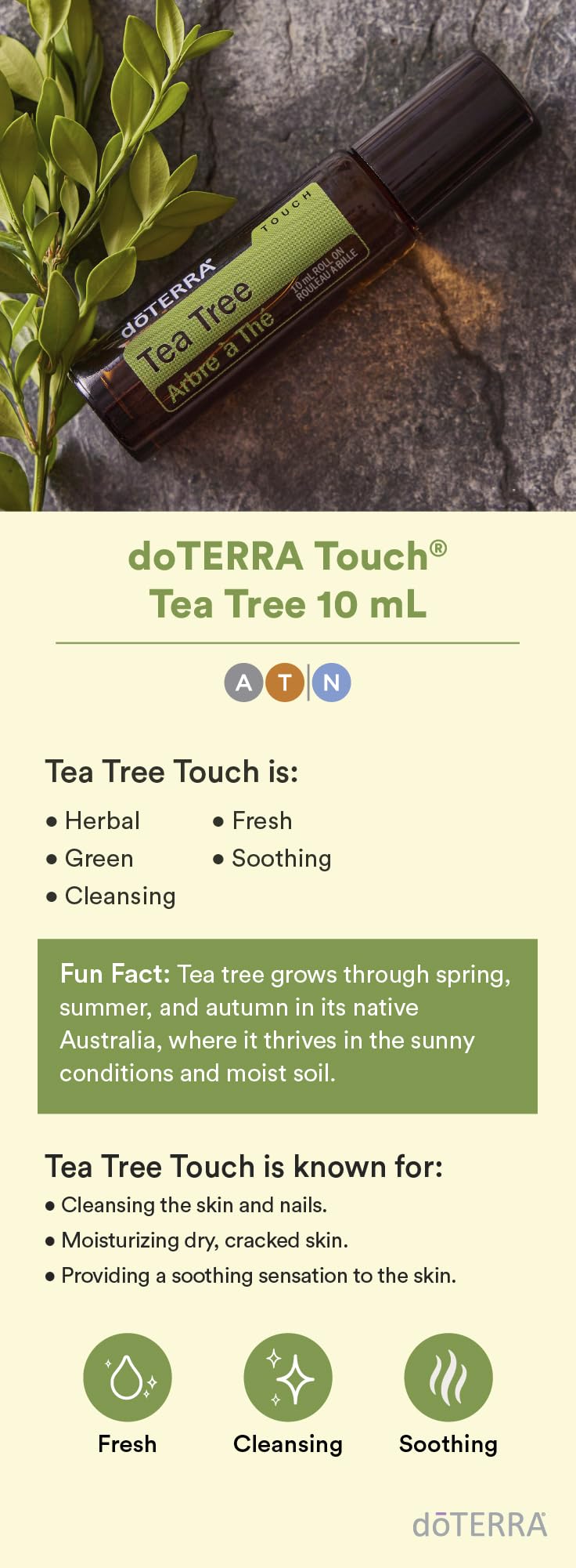 doTERRA Melaleuca Touch texture on skin demonstrating smooth, non-greasy absorption