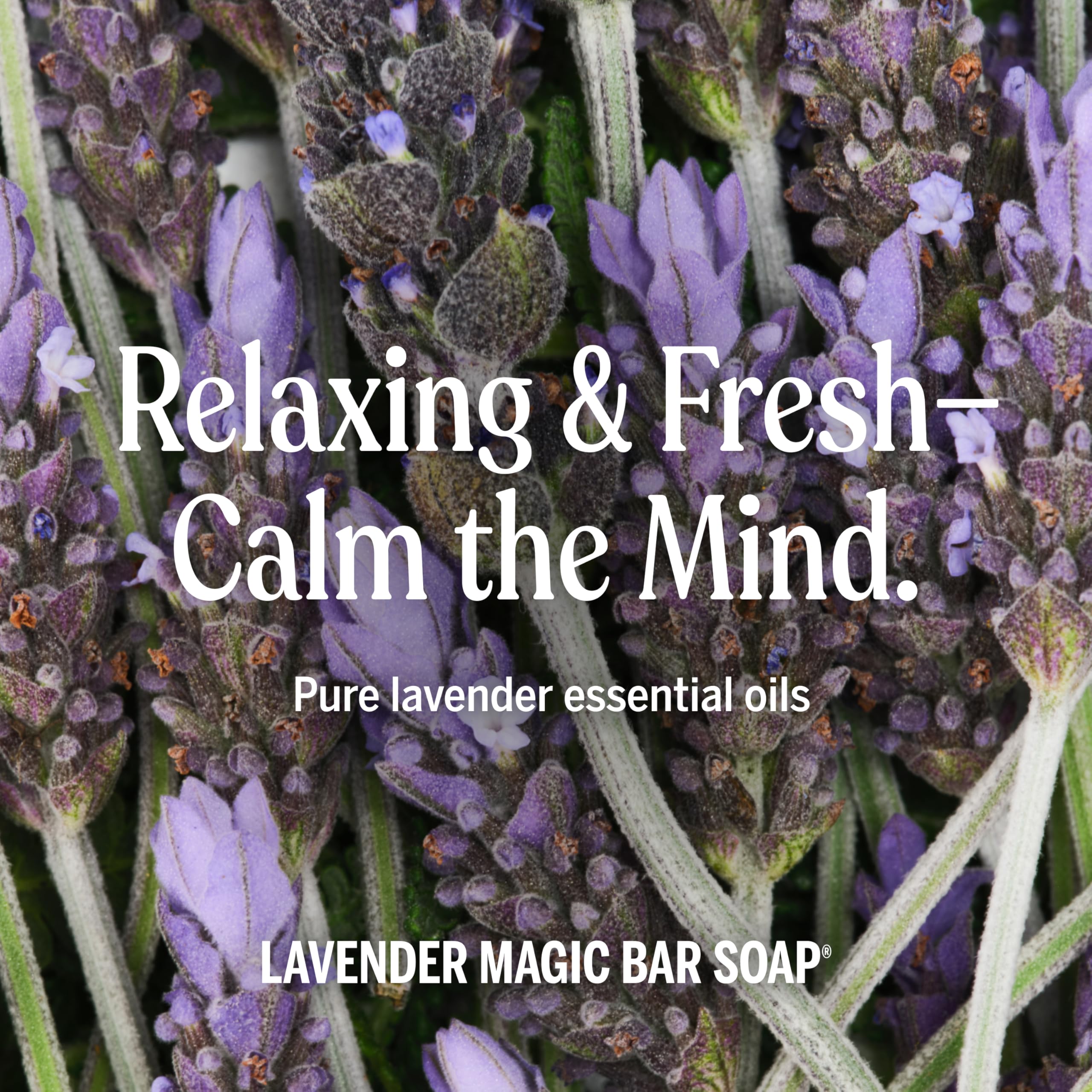 Dr. Bronner's bar on drainable dish to extend bar life benefit