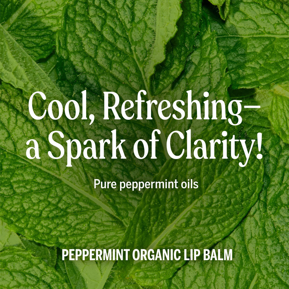 Dr. Bronner's six-pack arranged to show value and consistent peppermint scent