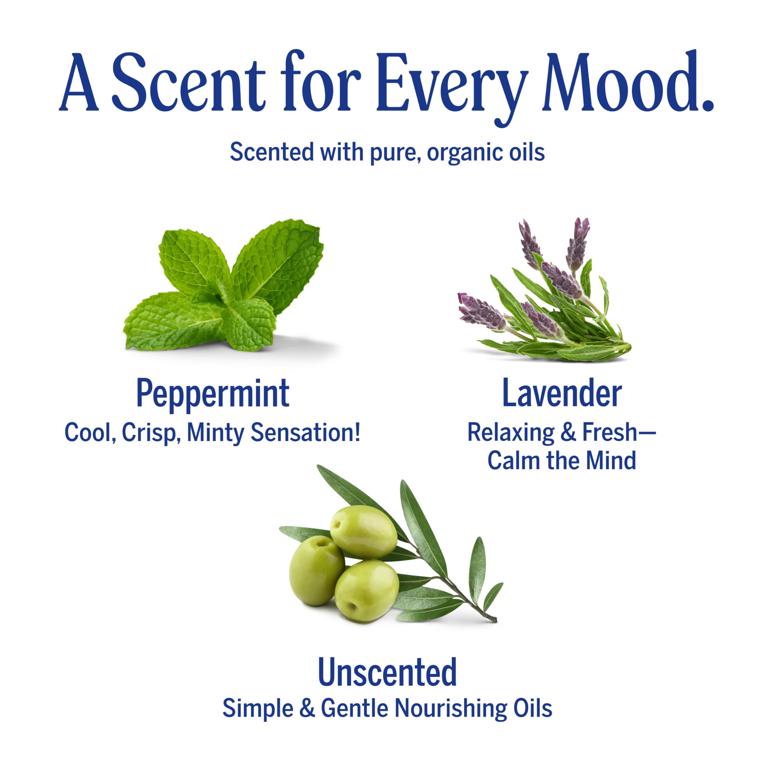 Dr. Bronner's label close-up listing regenerative organic oils for ingredient clarity