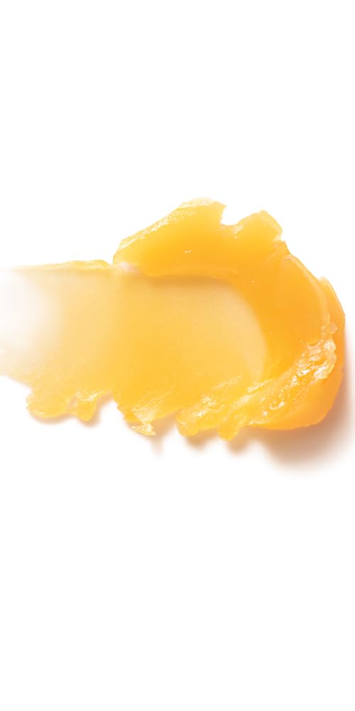 Dr. Hauschka lip care stick in a purse lifestyle shot for on-the-go lip comfort