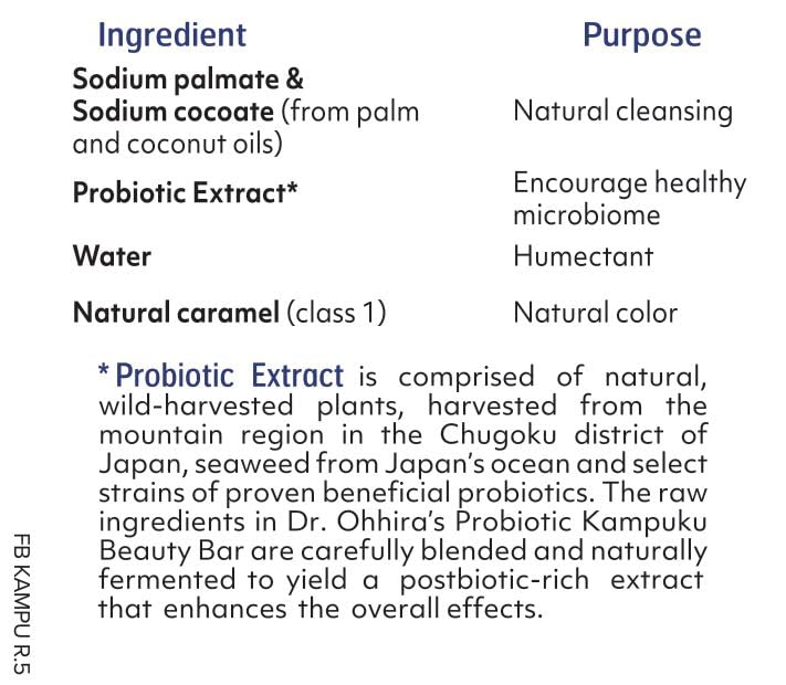 DR. OHHIRA'S PROBIOTICS close-up of Kampuku Beauty Bar texture highlighting gentle cleanse