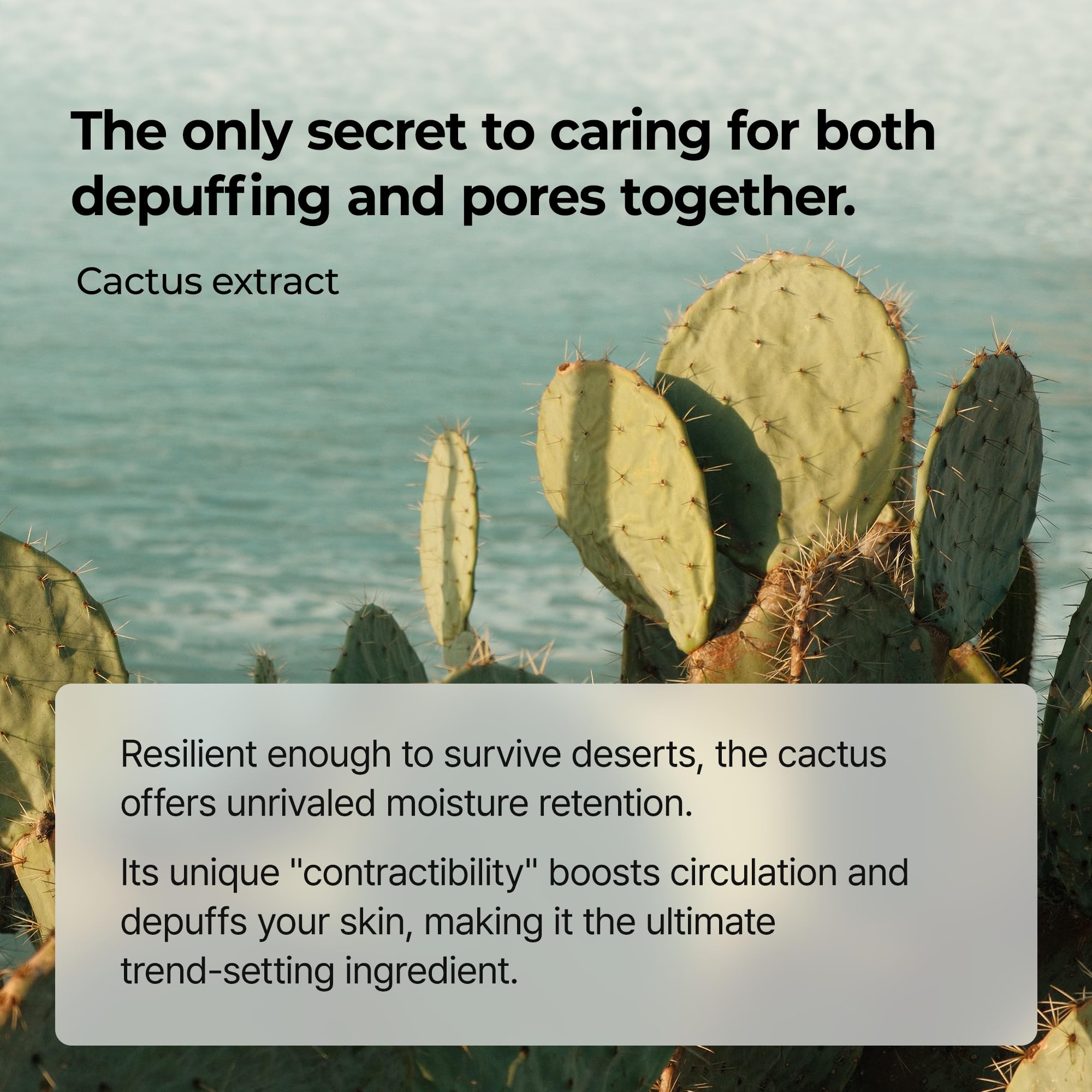 Dr.Melaxin ingredient label highlighting rice bran and niacinamide