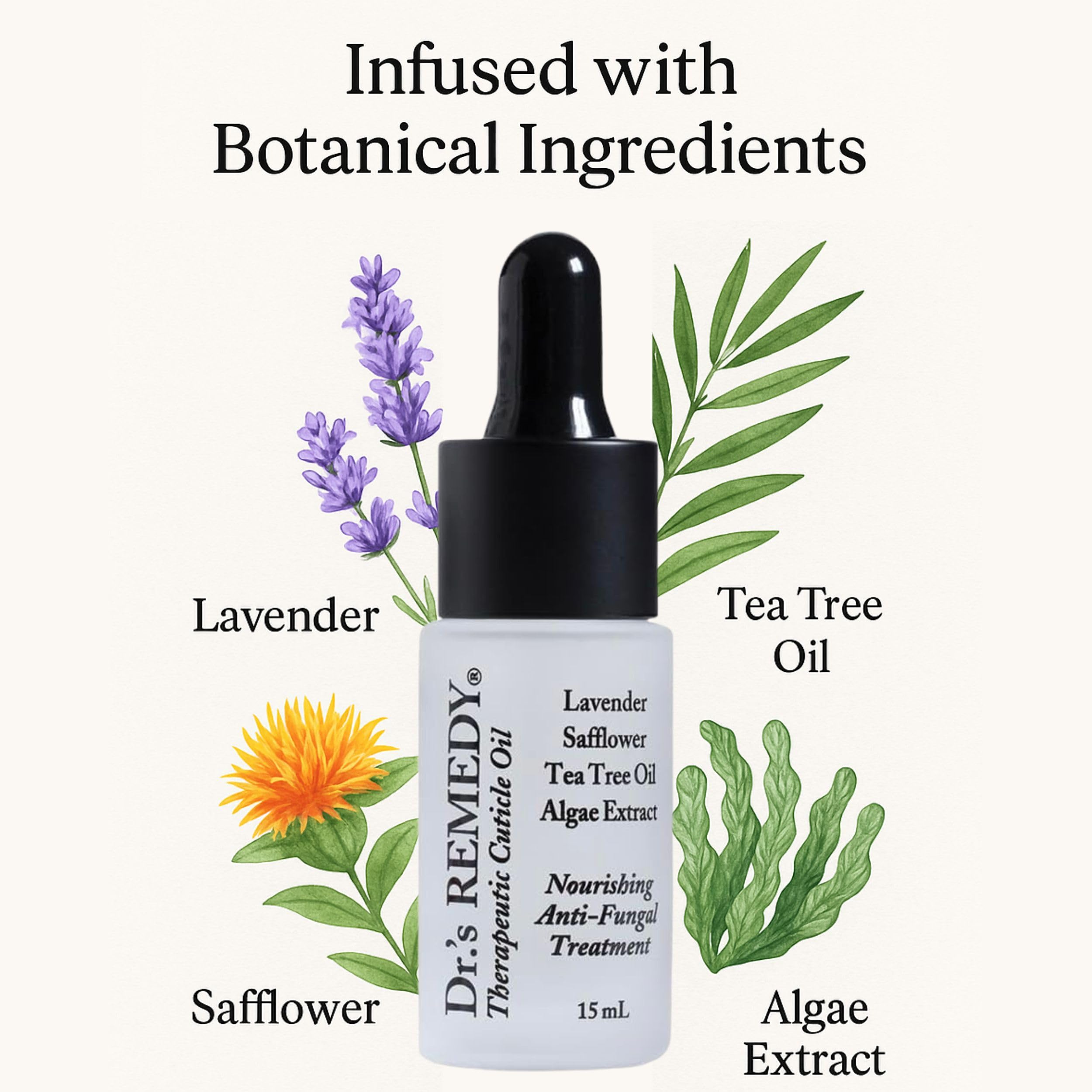 Dr.'s Remedy botanical ingredients display highlighting natural actives