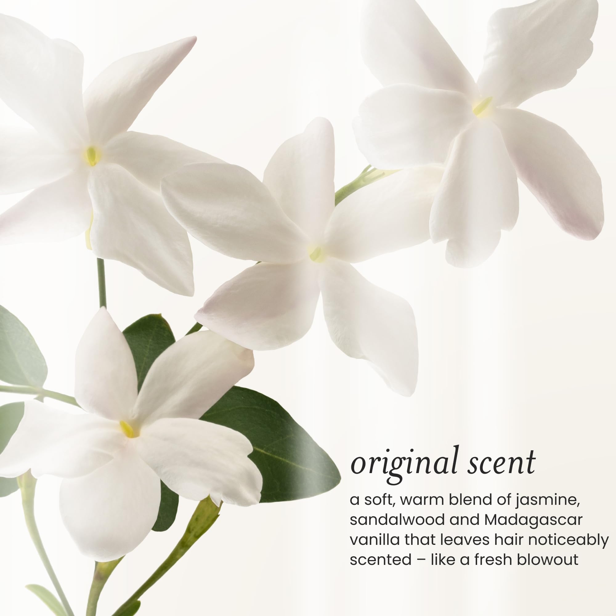 Still life with jasmine and vanilla evoking Drybar scent that freshens hair benefit