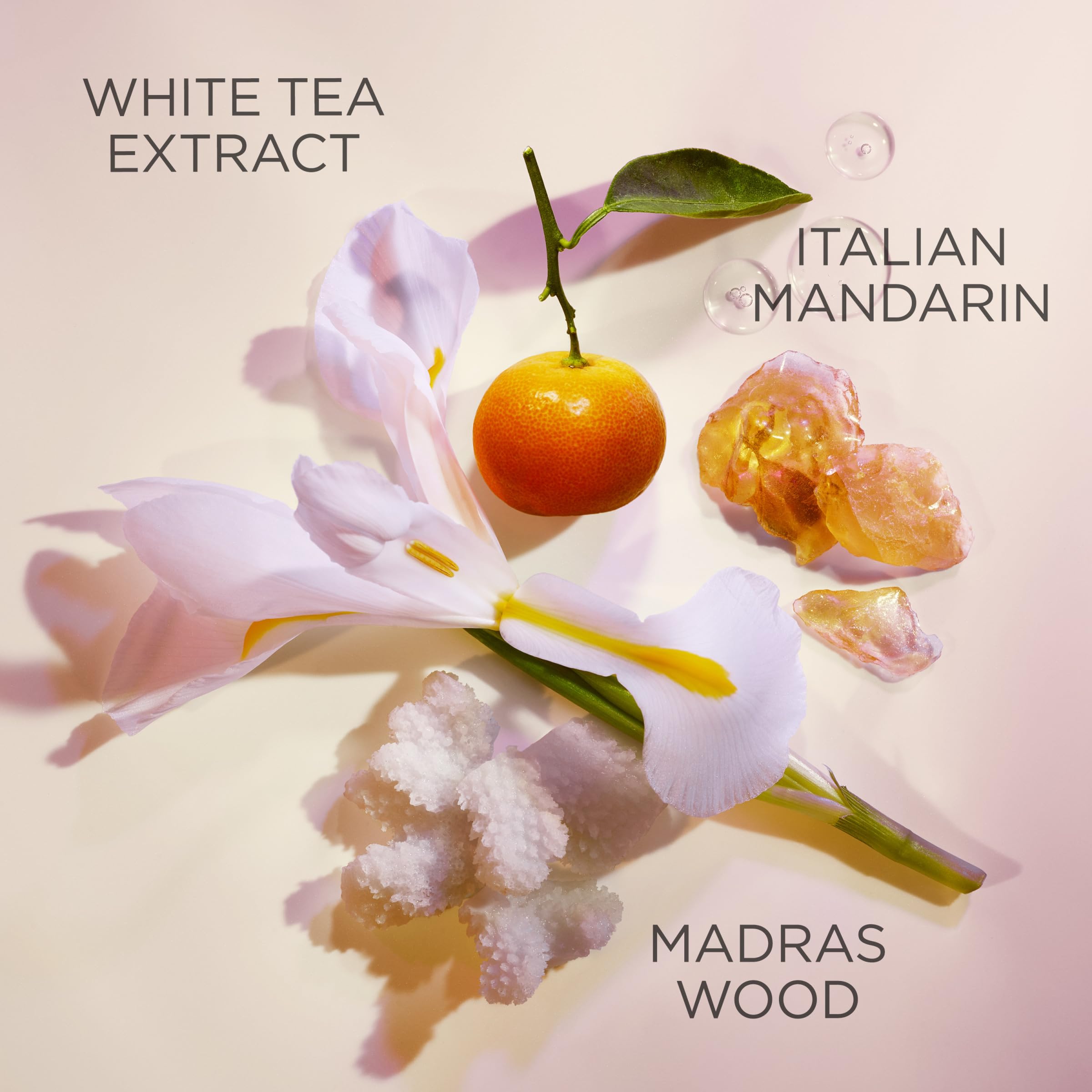 Elizabeth Arden White Tea deodorant cap and label close-up highlighting brand and elegant packaging benefit