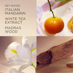 Elizabeth Arden White Tea deodorant applied to skin texture close-up demonstrating smooth, non-greasy finish